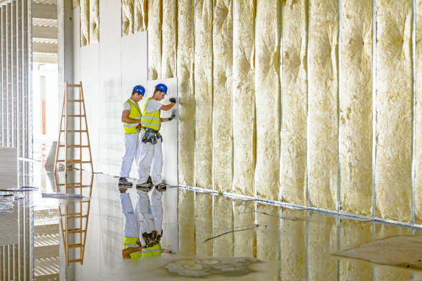 Best Residential Insulation in Chesterfield, MO